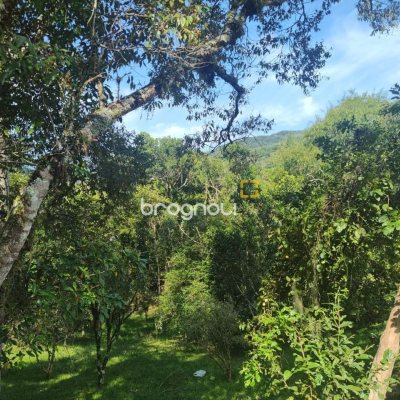 Terreno com 1312m², no bairro Córrego Grande em Florianópolis