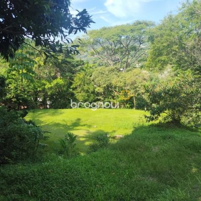 Terreno com 1312m², no bairro Córrego Grande em Florianópolis