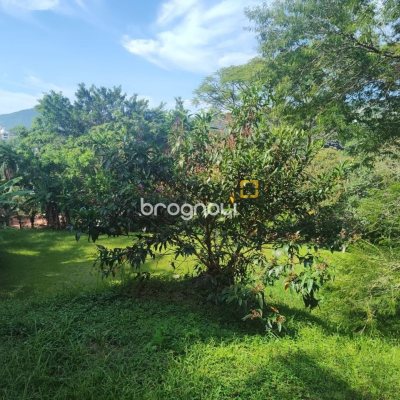 Terreno com 1312m², no bairro Córrego Grande em Florianópolis