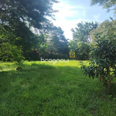 Terreno com 1312m², no bairro Córrego Grande em Florianópolis