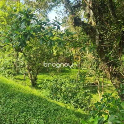 Terreno com 1312m², no bairro Córrego Grande em Florianópolis