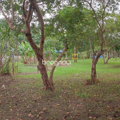 Sítio com 200m², 3 quartos (sendo 1 suíte), 2 garagens, no bairro Sorocaba em Biguaçu