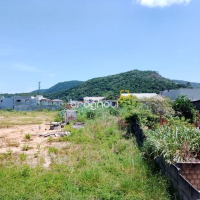 Apartamento com 490m², 6 quartos (sendo 1 suíte), 4 garagens, no bairro Campeche em Florianópolis