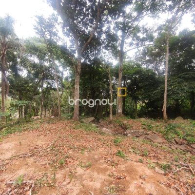 Terreno com 38760m², no bairro Ratones em Florianópolis