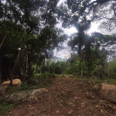 Terreno com 38760m², no bairro Ratones em Florianópolis