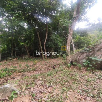 Terreno com 38760m², no bairro Ratones em Florianópolis