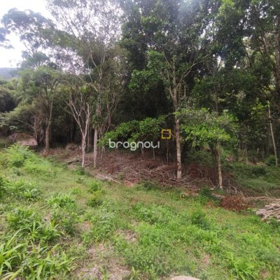 Terreno com 38760m², no bairro Ratones em Florianópolis