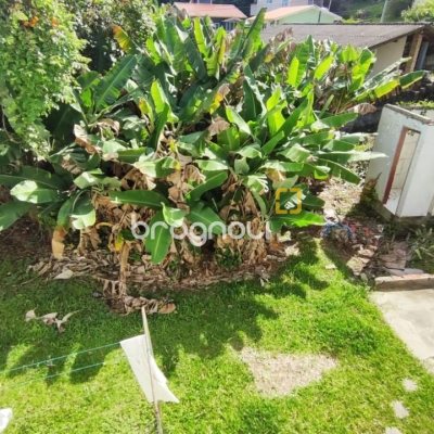 Casa com 269m², 3 quartos (sendo 1 suíte), 2 garagens, no bairro Costeira do Pirajubaé em Florianópolis