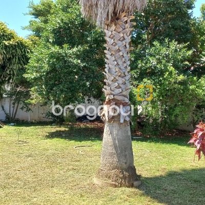 Terreno com 825m², no bairro Balneário em Florianópolis