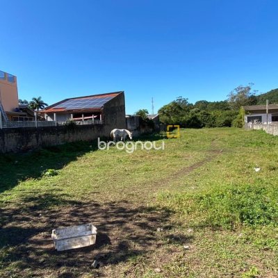 Terreno com 2431m², no bairro Pântano do Sul em Florianópolis