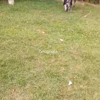 Casa com 150m², 4 quartos, 2 garagens, no bairro Vargem Grande em Florianópolis