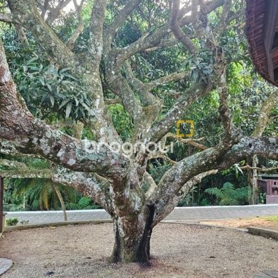 Casa de Condomínio com 240m², 4 quartos (sendo 3 suítes), 1 garagem, no bairro Sambaqui em Florianópolis