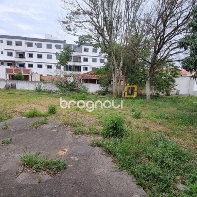 Terreno com 1288m², no bairro Ingleses em Florianópolis