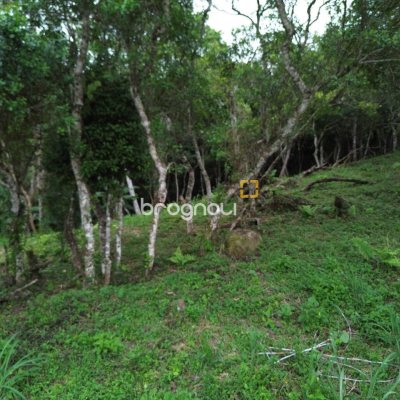 Terreno com 14106m², no bairro Sambaqui em Florianópolis