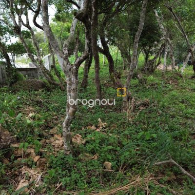 Terreno com 14106m², no bairro Sambaqui em Florianópolis