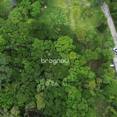 Terreno com 14106m², no bairro Sambaqui em Florianópolis