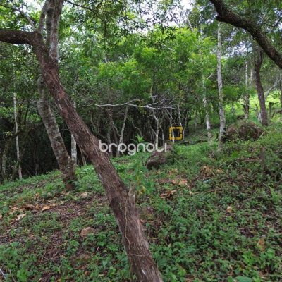 Terreno com 14106m², no bairro Sambaqui em Florianópolis