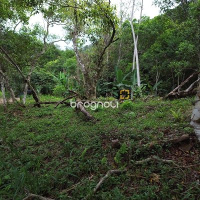 Terreno com 14106m², no bairro Sambaqui em Florianópolis