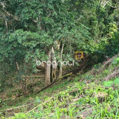 Terreno com 11123m², no bairro Sambaqui em Florianópolis