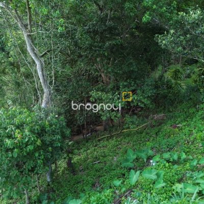 Terreno com 11123m², no bairro Sambaqui em Florianópolis