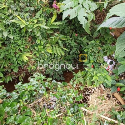 Terreno com 1435m², no bairro Sambaqui em Florianópolis