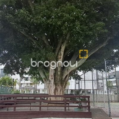 Cobertura com 198m², 4 quartos (sendo 2 suítes), 2 garagens, no bairro Ingleses em Florianópolis
