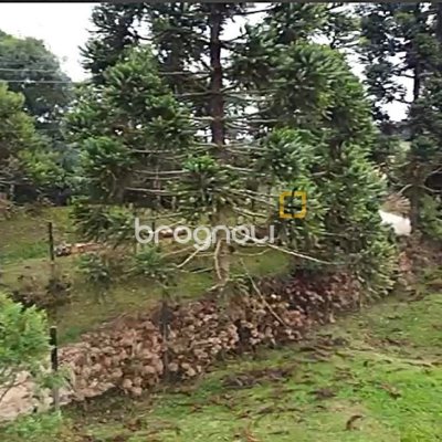 Terreno com 1000m², no bairro Rancho Queimado em Rancho Queimado