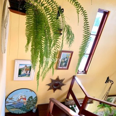 Casa com 157m², 4 quartos, 1 garagem, no bairro Armação em Florianópolis