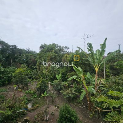 Casa com 177m², 3 quartos, 5 garagens, no bairro Bom Viver em Biguaçu