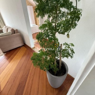 Casa com 502m², 6 quartos (sendo 3 suítes), 4 garagens, no bairro Ingleses em Florianópolis