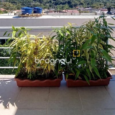 Casa com 322m², 3 quartos (sendo 3 suítes), 2 garagens, no bairro Lagoa da Conceição em Florianópolis