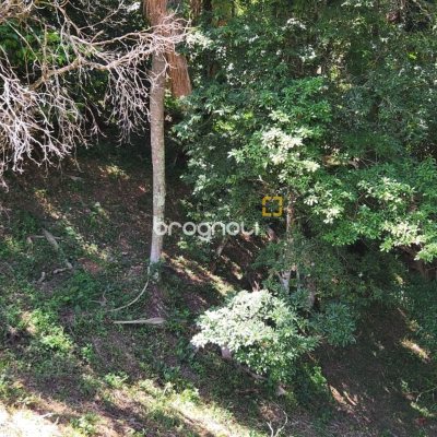 Terreno com 794m², no bairro Córrego Grande em Florianópolis