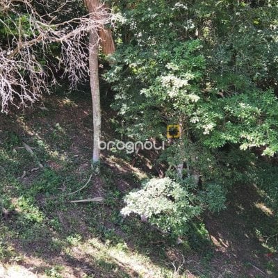 Terreno com 794m², no bairro Córrego Grande em Florianópolis