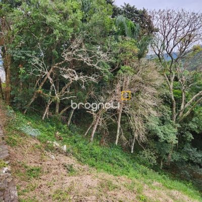 Terreno com 794m², no bairro Córrego Grande em Florianópolis