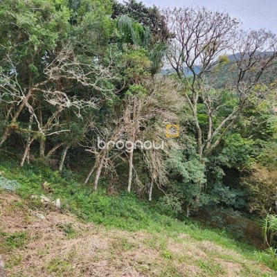 Terreno com 794m², no bairro Córrego Grande em Florianópolis
