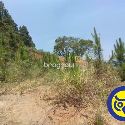 Terreno com 495m², no bairro Itacorubi em Florianópolis
