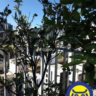 Cobertura com 360m², 5 quartos (sendo 3 suítes), 3 garagens, no bairro Centro em Florianópolis