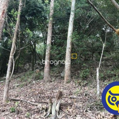 Terreno com 66151m², no bairro Vargem Grande em Florianópolis