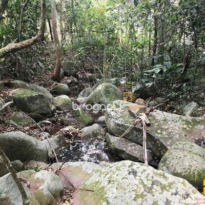 Terreno com 66151m², no bairro Vargem Grande em Florianópolis