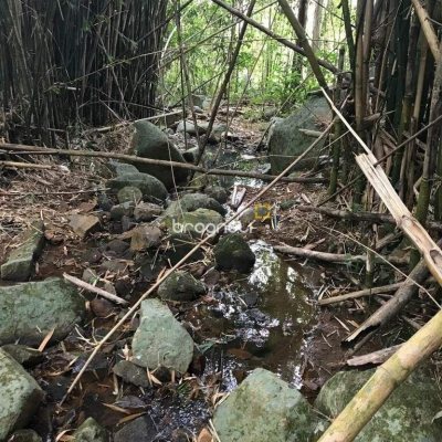 Terreno com 66151m², no bairro Vargem Grande em Florianópolis