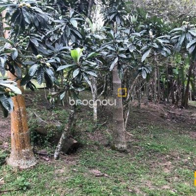 Terreno com 66151m², no bairro Vargem Grande em Florianópolis