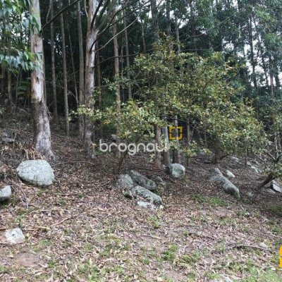 Terreno com 66151m², no bairro Vargem Grande em Florianópolis