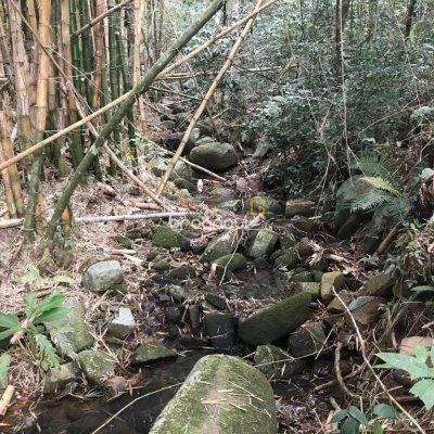 Terreno com 66151m², no bairro Vargem Grande em Florianópolis