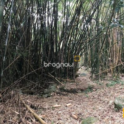Terreno com 66151m², no bairro Vargem Grande em Florianópolis
