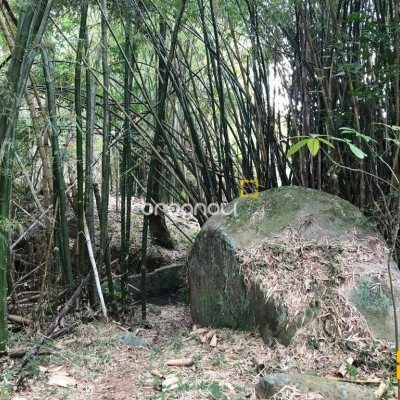 Terreno com 66151m², no bairro Vargem Grande em Florianópolis