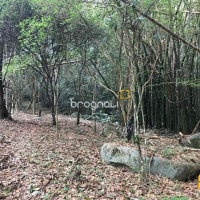 Terreno com 66151m², no bairro Vargem Grande em Florianópolis