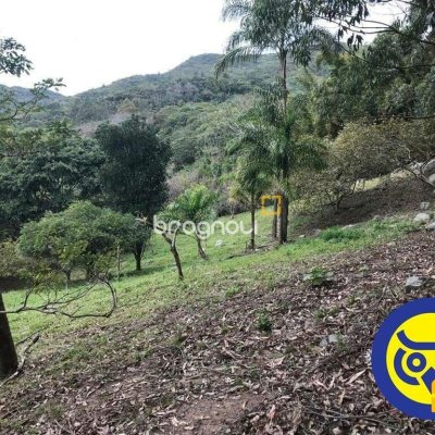 Terreno com 66151m², no bairro Vargem Grande em Florianópolis