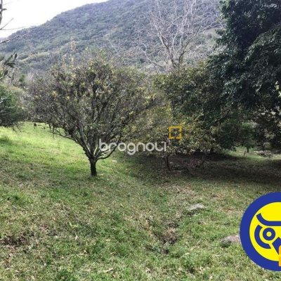 Terreno com 66151m², no bairro Vargem Grande em Florianópolis