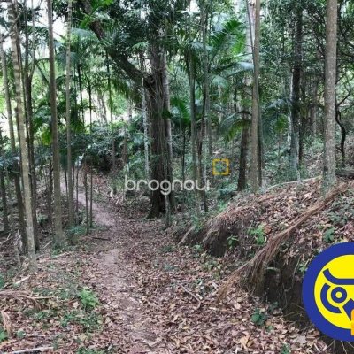 Terreno com 50063m², no bairro Vargem Grande em Florianópolis