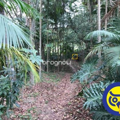 Terreno com 50063m², no bairro Vargem Grande em Florianópolis